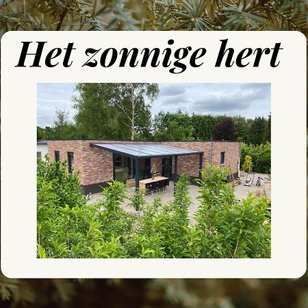 Het Zonnige Hert 埃尔默洛 外观 照片